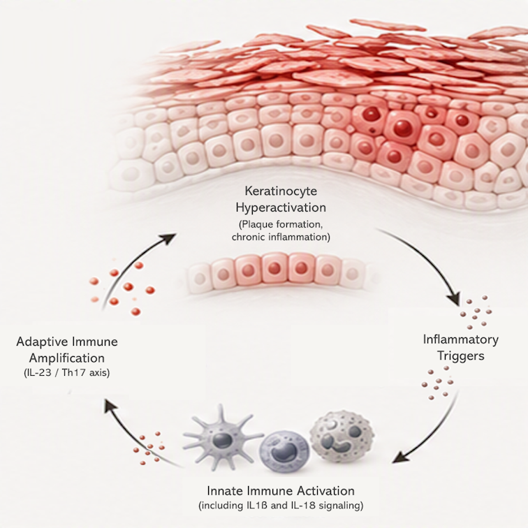 Inflammation Starts Deeper Than You Think